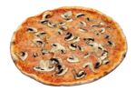 Funghi