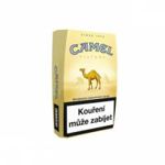 Camel
